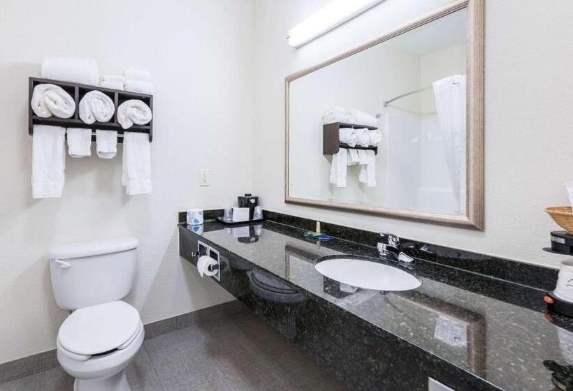 Люкс, Clarion Pointe Madisonhuntsville