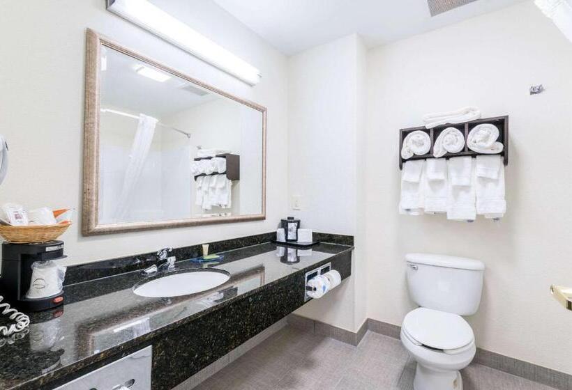 Люкс, Clarion Pointe Madisonhuntsville