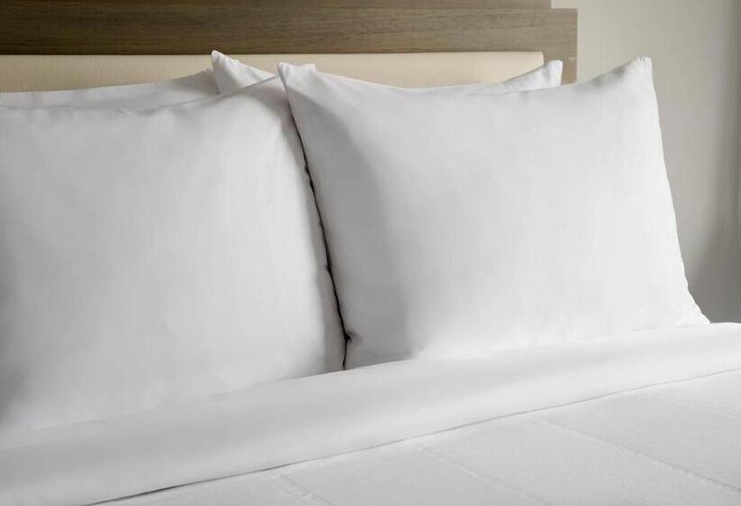 Quarto Estandar Cama King para Deficientes Físicos, Fairfield Inn & Suites By Marriott Boston Milford