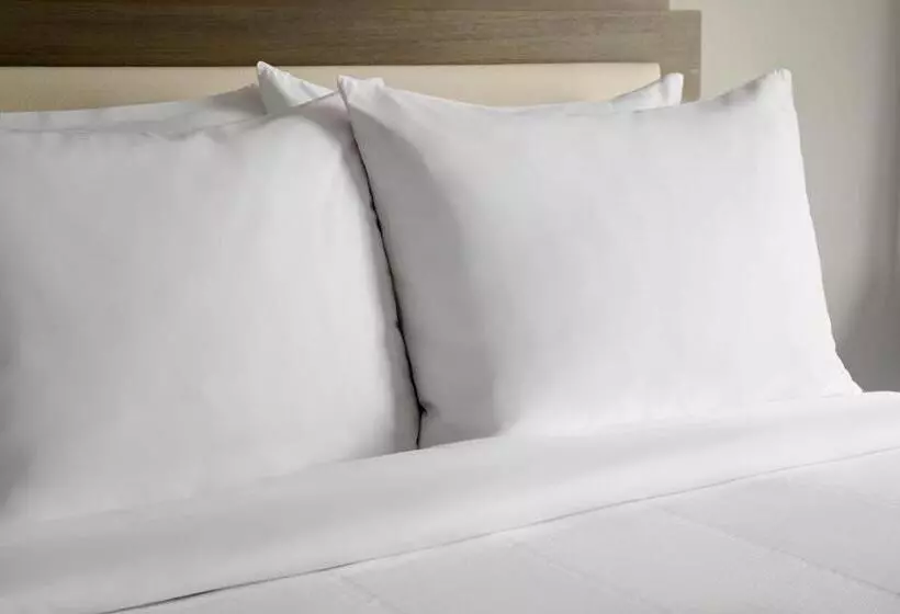 身障者適用スタンダードルーム, Fairfield Inn & Suites By Marriott Boston Milford