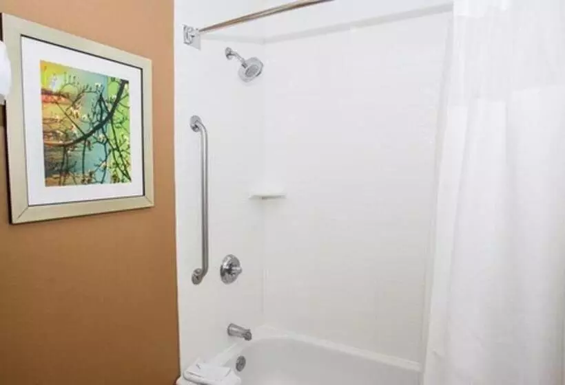 キングサイズベッドのスタンダードルーム, Fairfield Inn & Suites By Marriott Boston Milford