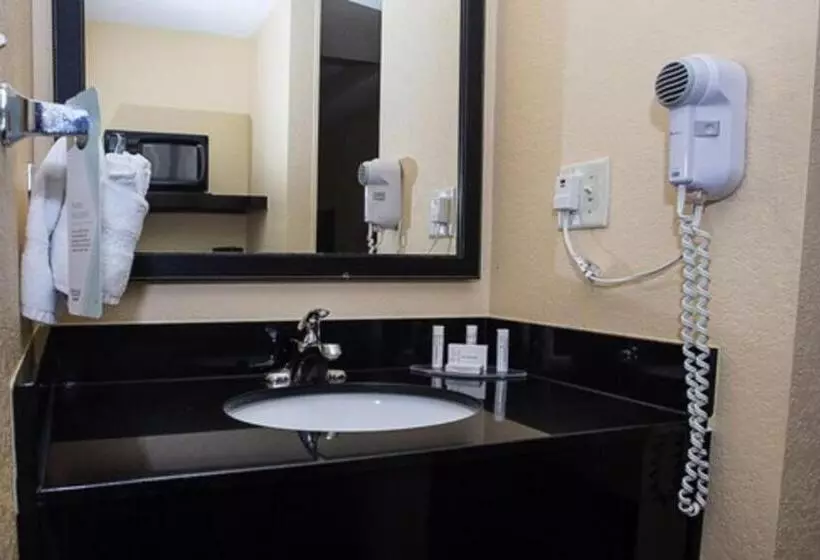 身障者適用キングサイズベッドルーム, Fairfield Inn & Suites By Marriott Boston Milford