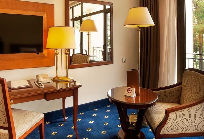 اتاق سوپریور با چشم‌انداز باغ, Kobuleti Georgia Palace Hotel & Spa