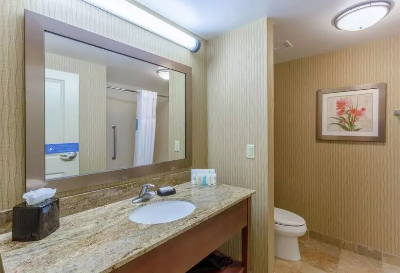 スタンダードルーム, Hampton Inn Baltimore/owings Mills
