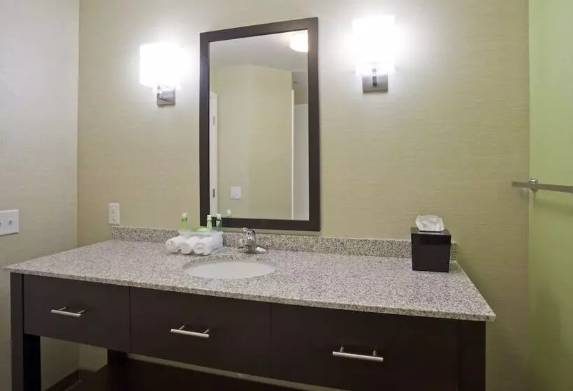 Sviitti, Holiday Inn Express Hotel & Suites Rogers, An Ihg