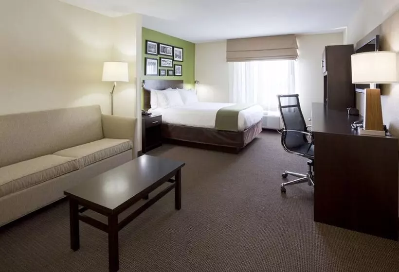 Sviitti, Holiday Inn Express Hotel & Suites Rogers, An Ihg