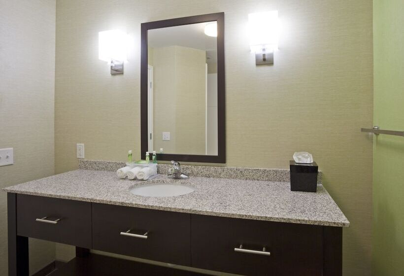 Люкс Адаптированный для Инвалидов, Holiday Inn Express Hotel & Suites Rogers, An Ihg