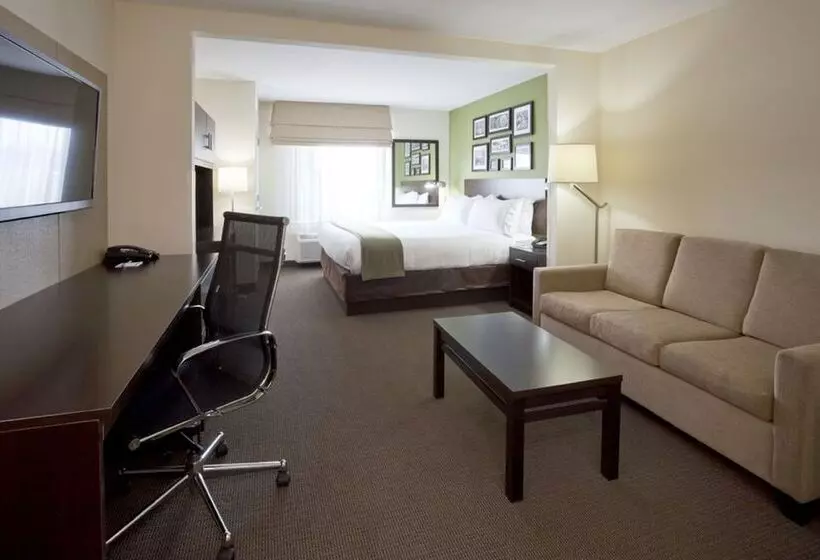 Sviitti Liikuntarajoitteisille, Holiday Inn Express Hotel & Suites Rogers, An Ihg