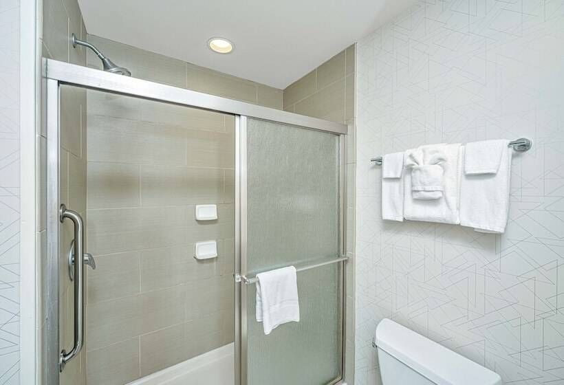 Chambre Standard, Holiday Inn Express & Suites Charleston Arpt Conv Ctr Area, An Ihg