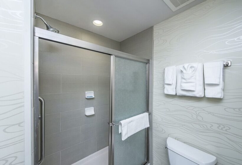 Standard-huone, Holiday Inn Express & Suites Charleston Arpt Conv Ctr Area, An Ihg