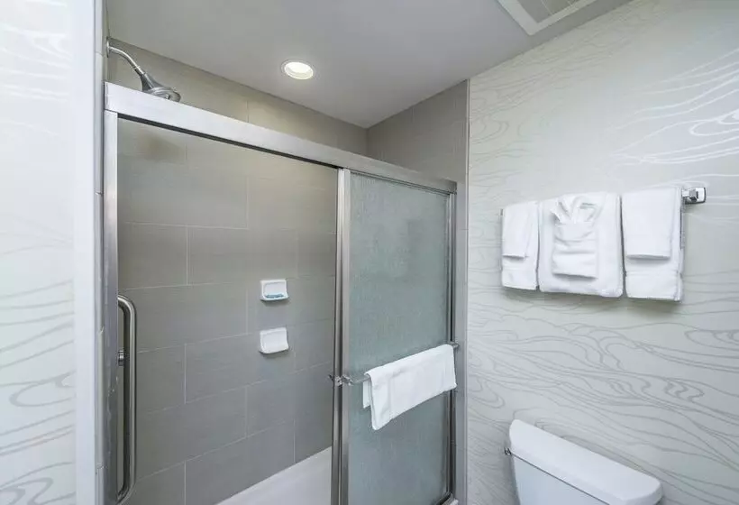 Standard-huone, Holiday Inn Express & Suites Charleston Arpt Conv Ctr Area, An Ihg