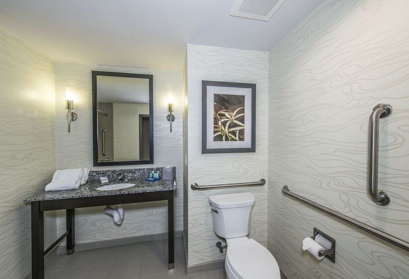 장애인을 위한 스위트, Holiday Inn Express & Suites Charleston Arpt Conv Ctr Area, An Ihg