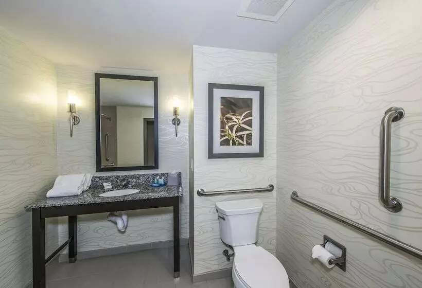 Sviitti Liikuntarajoitteisille, Holiday Inn Express & Suites Charleston Arpt Conv Ctr Area, An Ihg