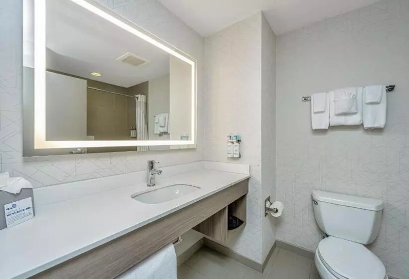 Sviitti King-vuode, Holiday Inn Express & Suites Charleston Arpt Conv Ctr Area, An Ihg