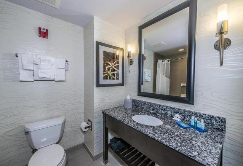 Suite Lit King, Holiday Inn Express & Suites Charleston Arpt Conv Ctr Area, An Ihg