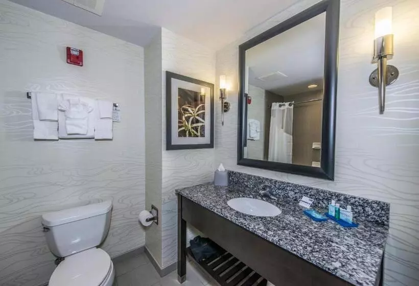 Sviitti King-vuode, Holiday Inn Express & Suites Charleston Arpt Conv Ctr Area, An Ihg