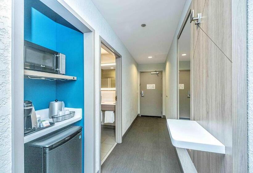 Standard-huone King-vuode, Holiday Inn Express & Suites Charleston Arpt Conv Ctr Area, An Ihg