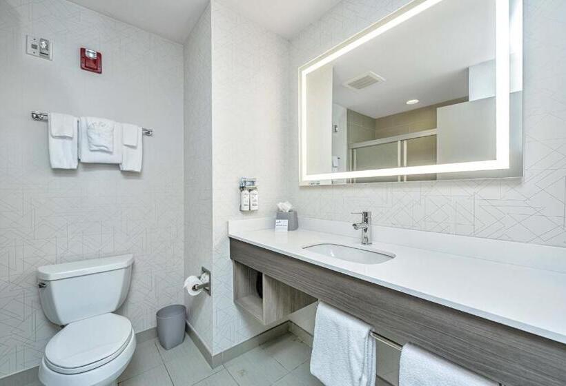 스탠다드 룸 킹사이즈 침대, Holiday Inn Express & Suites Charleston Arpt Conv Ctr Area, An Ihg