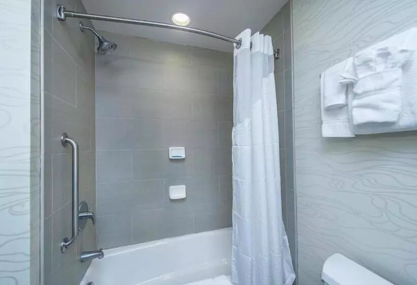 Standard-huone King-vuode, Holiday Inn Express & Suites Charleston Arpt Conv Ctr Area, An Ihg