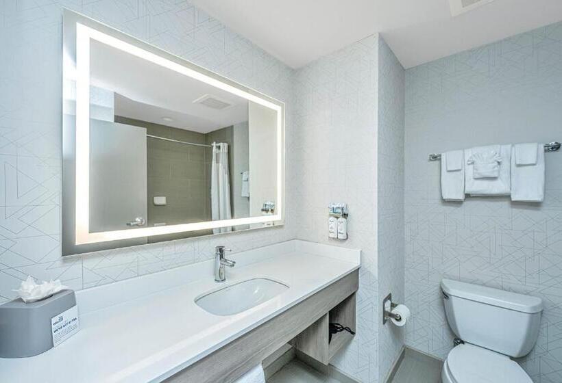 Chambre Standard, Holiday Inn Express & Suites Charleston Arpt Conv Ctr Area, An Ihg
