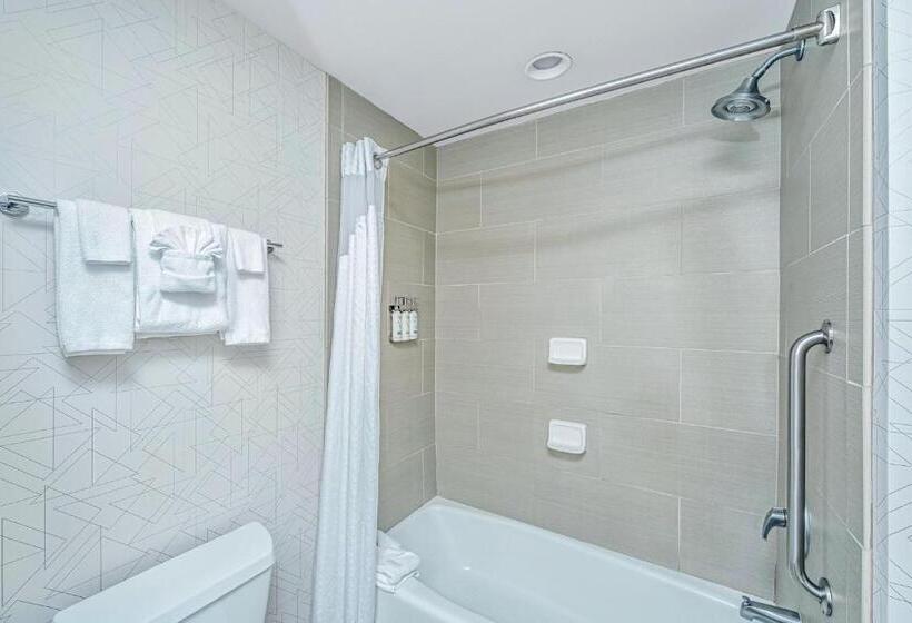 Standard-huone, Holiday Inn Express & Suites Charleston Arpt Conv Ctr Area, An Ihg