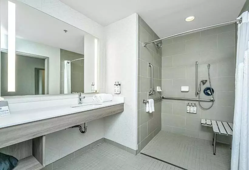 Standard-invahuone King-vuode, Holiday Inn Express & Suites Charleston Arpt Conv Ctr Area, An Ihg
