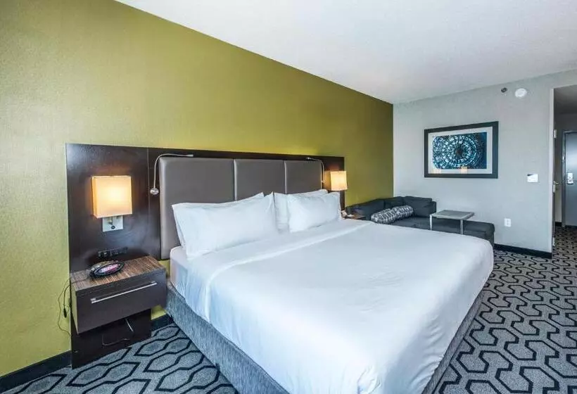Standard-invahuone King-vuode, Holiday Inn Express & Suites Charleston Arpt Conv Ctr Area, An Ihg