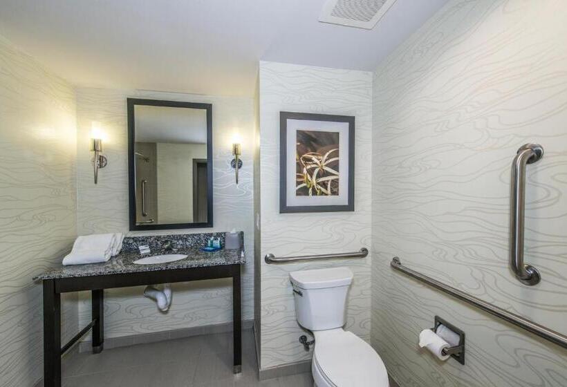 Chambre Standard Lit King Size Adaptée aux Personnes à Mobilité Réduite, Holiday Inn Express & Suites Charleston Arpt Conv Ctr Area, An Ihg