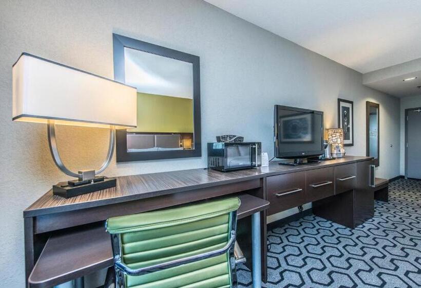 Standard-invahuone King-vuode, Holiday Inn Express & Suites Charleston Arpt Conv Ctr Area, An Ihg