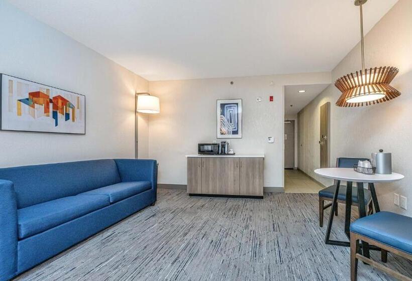 장애인을 위한 스위트, Holiday Inn Express & Suites Charleston Arpt Conv Ctr Area, An Ihg