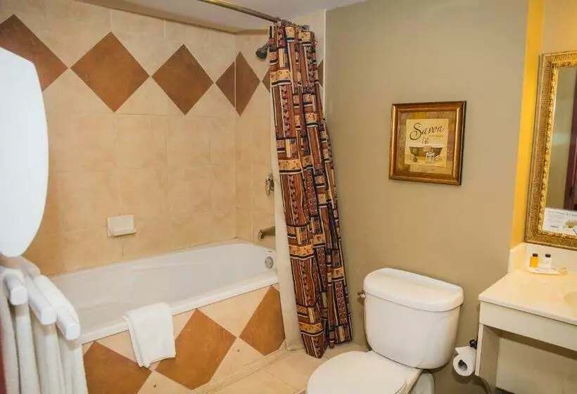 اتاق استاندارد با تخت بزرگ, Murray Premises