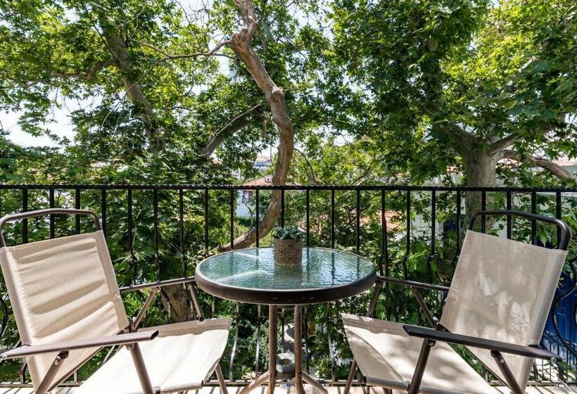 اتاق استاندارد سه نفره, Regina