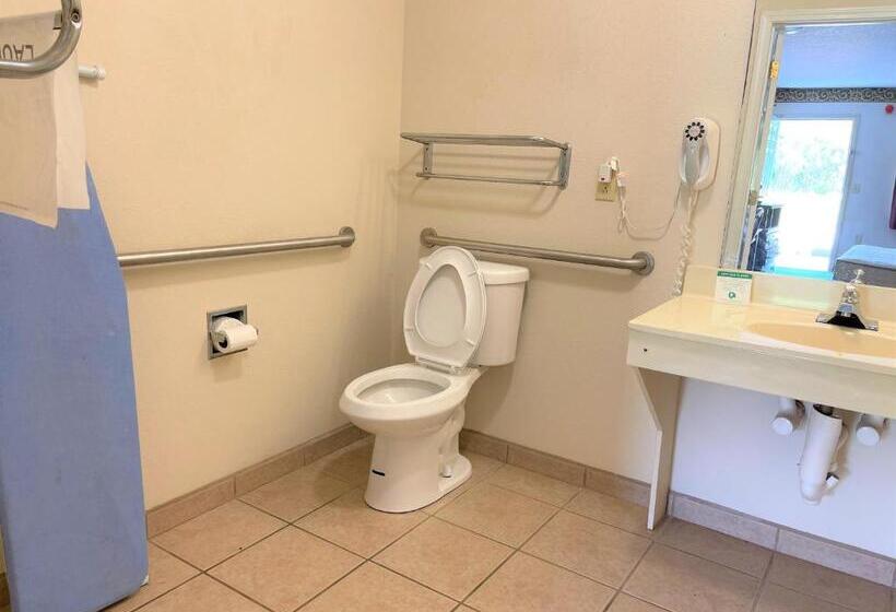 غرفة قياسية سرير كينج لذوى الإحتياجات الخاصة, Rodeway Inn