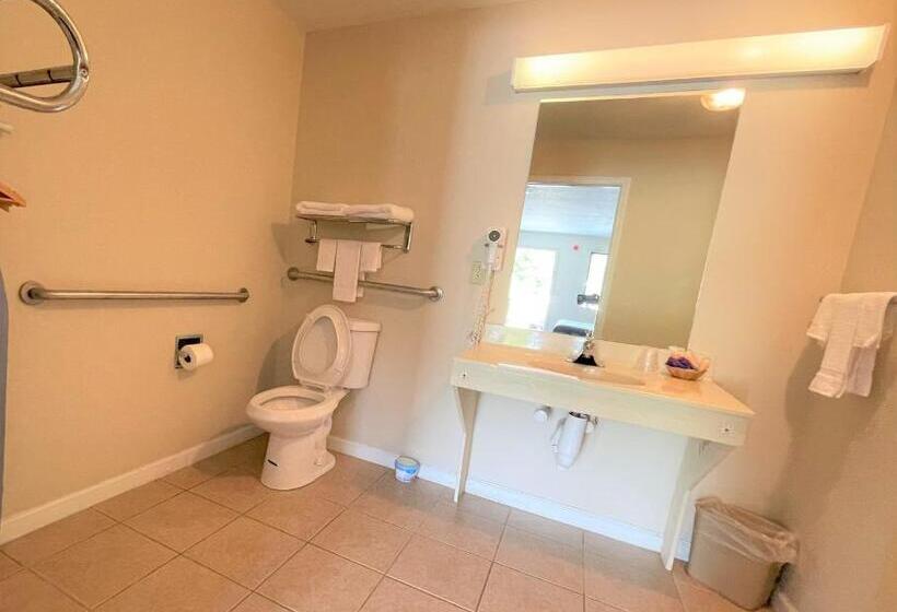 غرفة قياسية سرير كينج لذوى الإحتياجات الخاصة, Rodeway Inn