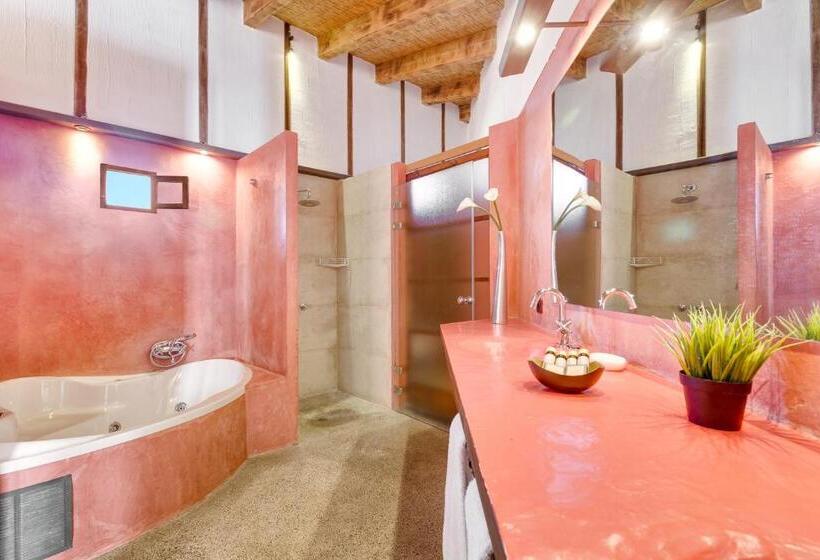 جناح جونيور سوبريور, Agroturisme Son Pons