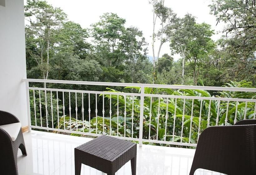 اتاق سوپریور, Villa Florencia