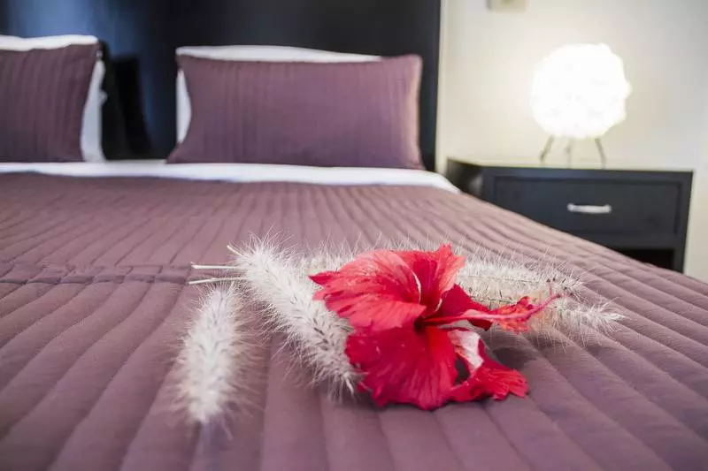 استودیوی استاندارد, Karibo Punta Cana