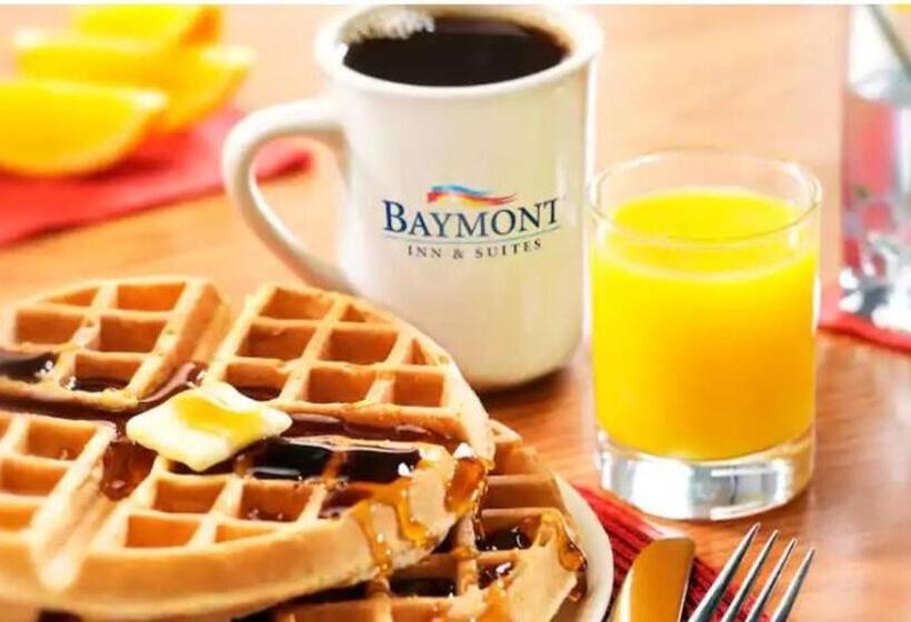 غرفة قياسية سرير كينج, Baymont By Wyndham Wichita Falls