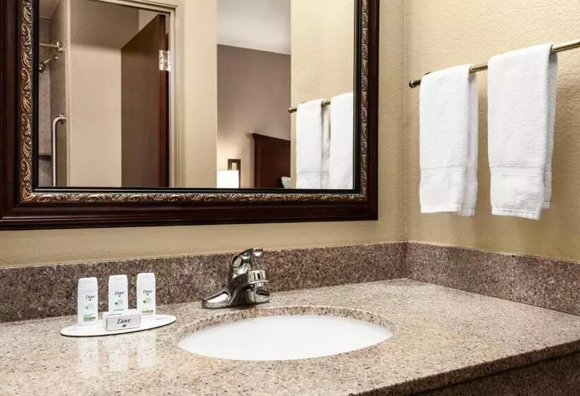 اتاق استاندارد برای معلولان, Baymont By Wyndham Wichita Falls