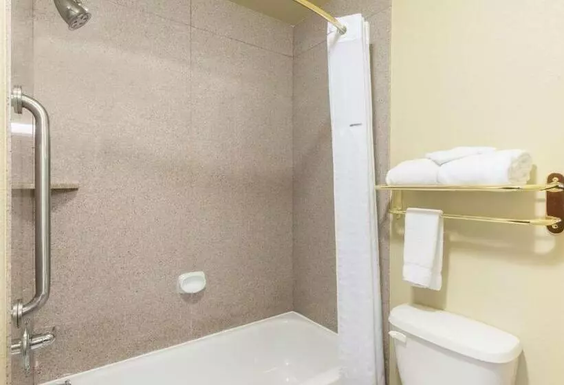 اتاق استاندارد برای معلولان, Baymont By Wyndham Wichita Falls