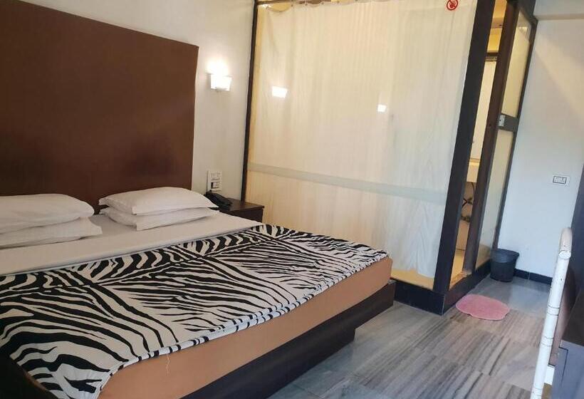 Номер Стандарт, Milan International