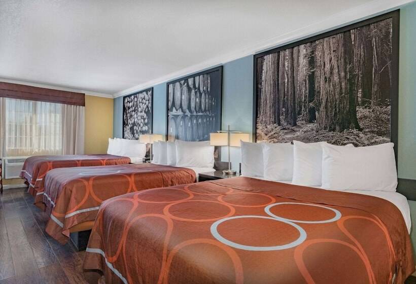 标准间, Super 8 By Wyndham Ukiah