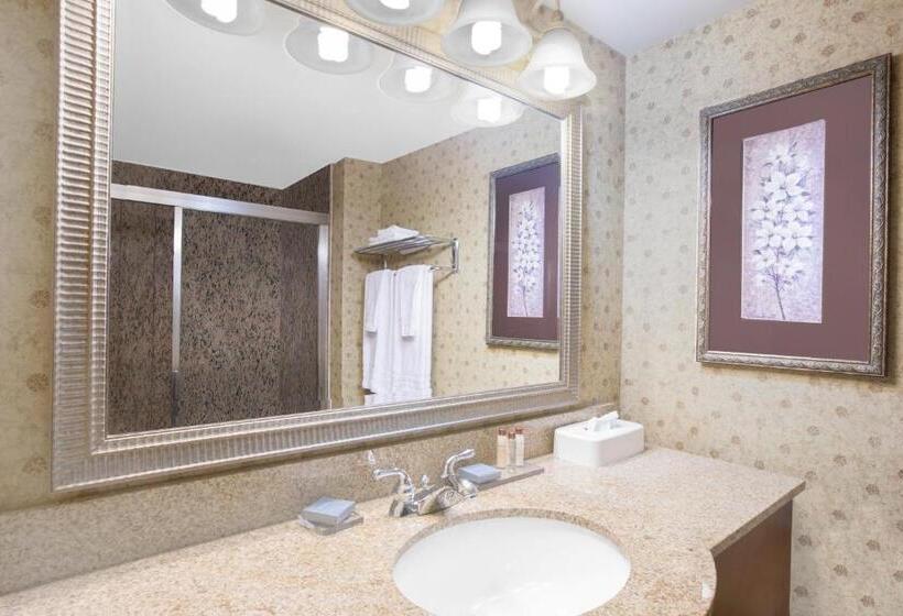 Люкс Кровать Кинг, Wingate By Wyndham Tuscaloosa
