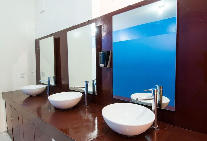 Номер Стандарт Совместная Ванная, Hostal Amigo