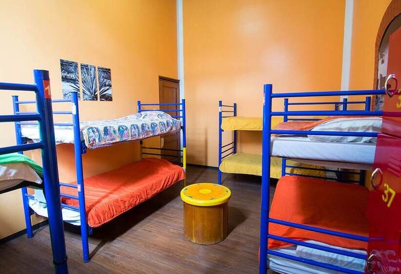 ルームシェアのワンベッド, Hostal Amigo