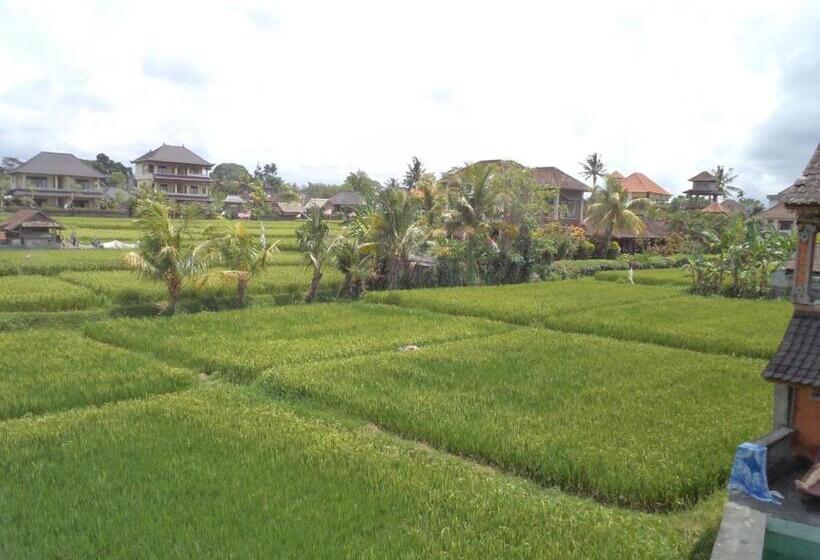 Standardrum, Ala S Green Lagoon