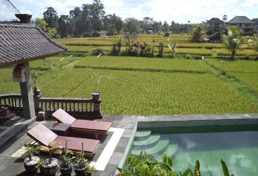 Standardrum, Ala S Green Lagoon