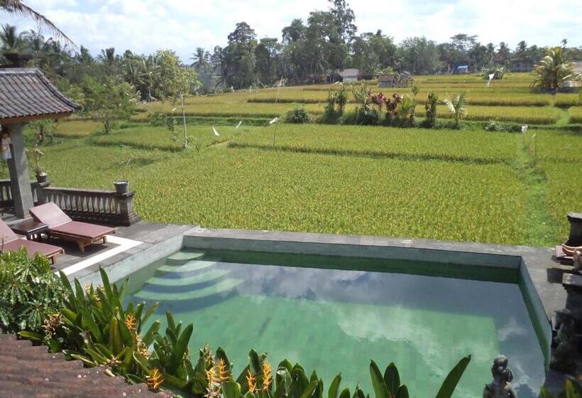 Deluxe Rum, Ala S Green Lagoon