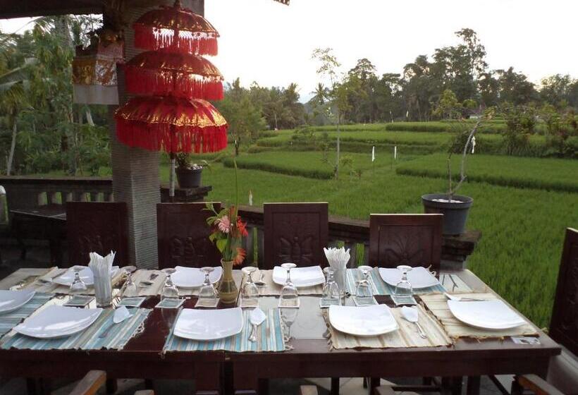 Deluxe Rum, Ala S Green Lagoon