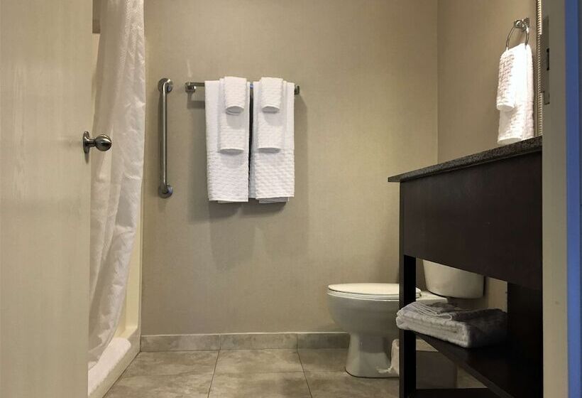 جناح, Best Western Plus Valdosta Hotel & Suites